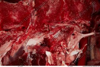 Photo Textures of RAW Beef Meat